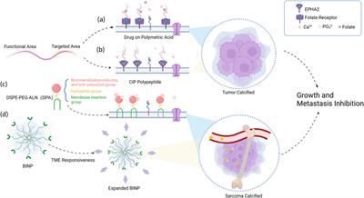 Research progress of biomineralization for the diagnosis and treatment of malignant tumors